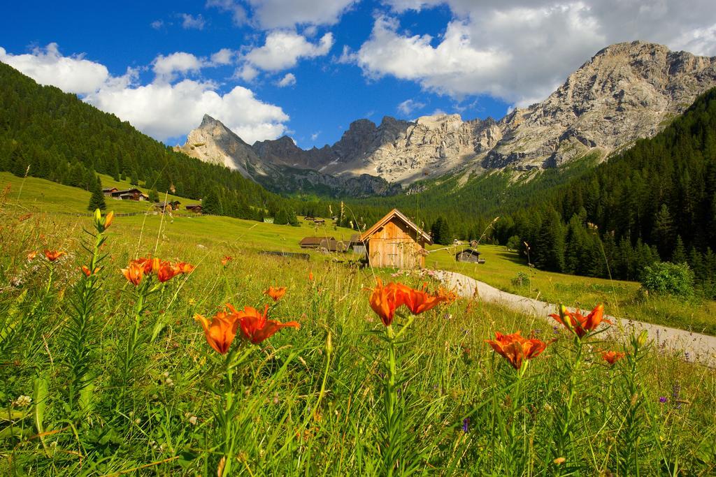 Relais San Giusto Hotel Campitello di Fassa Ngoại thất bức ảnh